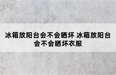 冰箱放阳台会不会晒坏 冰箱放阳台会不会晒坏衣服